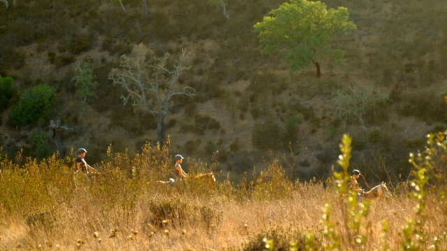 75445143_SF-1_auswanderer-portugal.mp4.10_00_26_18.Standbild002