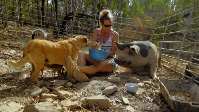 75445143_SF-1_auswanderer-portugal.mp4.10_03_14_22.Standbild008