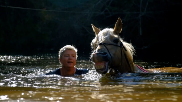 75445143_SF-1_auswanderer-portugal.mp4.10_26_06_04.Standbild012