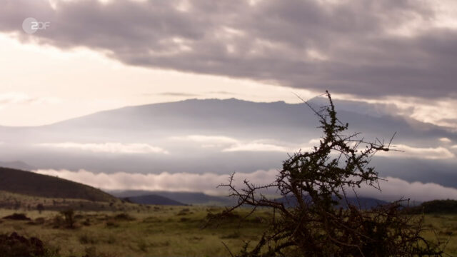 Neuanfang am Kilimandscharo.mp4.00_00_00_00.Standbild001