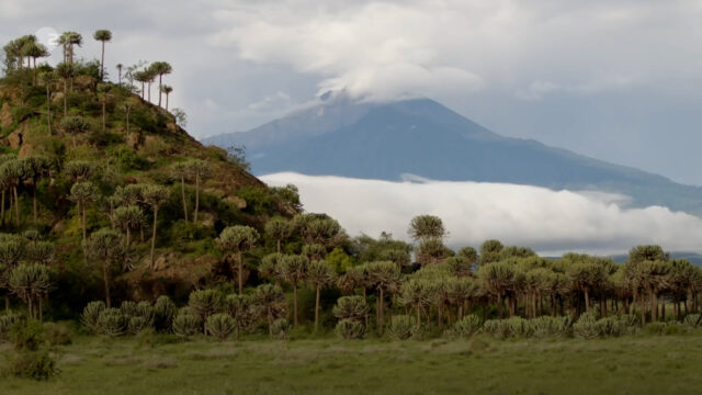 Neuanfang am Kilimandscharo.mp4.00_01_02_07.Standbild006