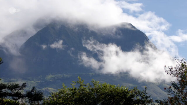 Neuanfang am Kilimandscharo.mp4.00_06_17_36.Standbild010