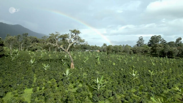 Neuanfang am Kilimandscharo.mp4.00_22_23_43.Standbild014